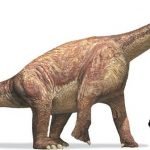 Camarasaurus, Misterio y Ciencia en Planeta Incógnito: Revista web y podcast